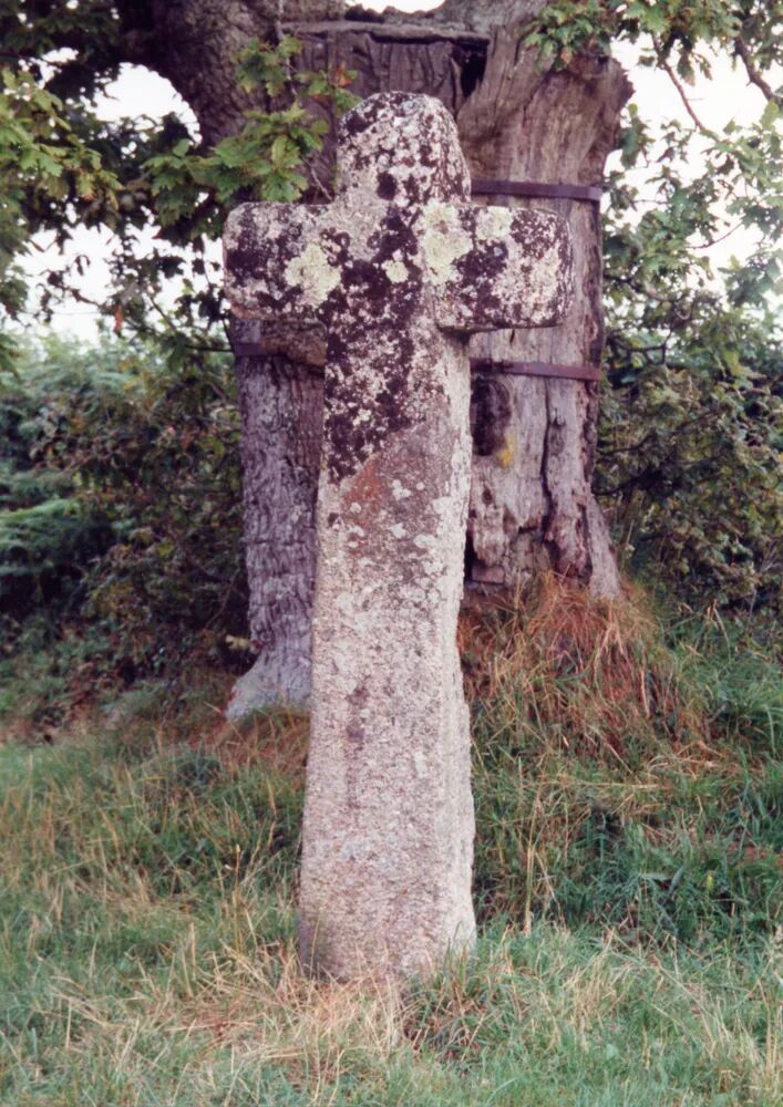 Dartmoor Trust Archive