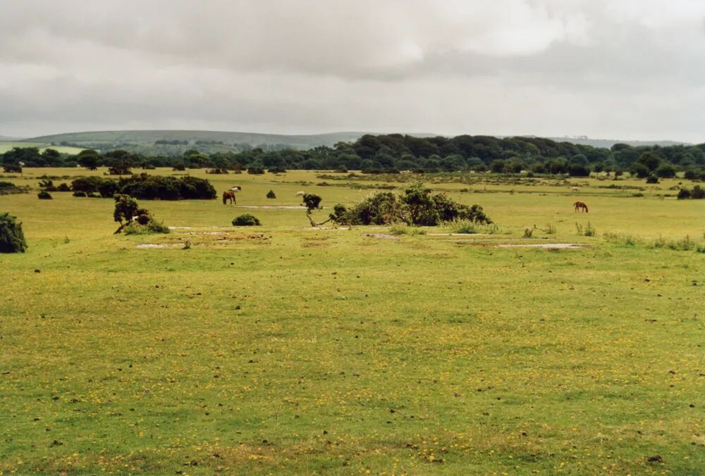 Dartmoor Trust Archive